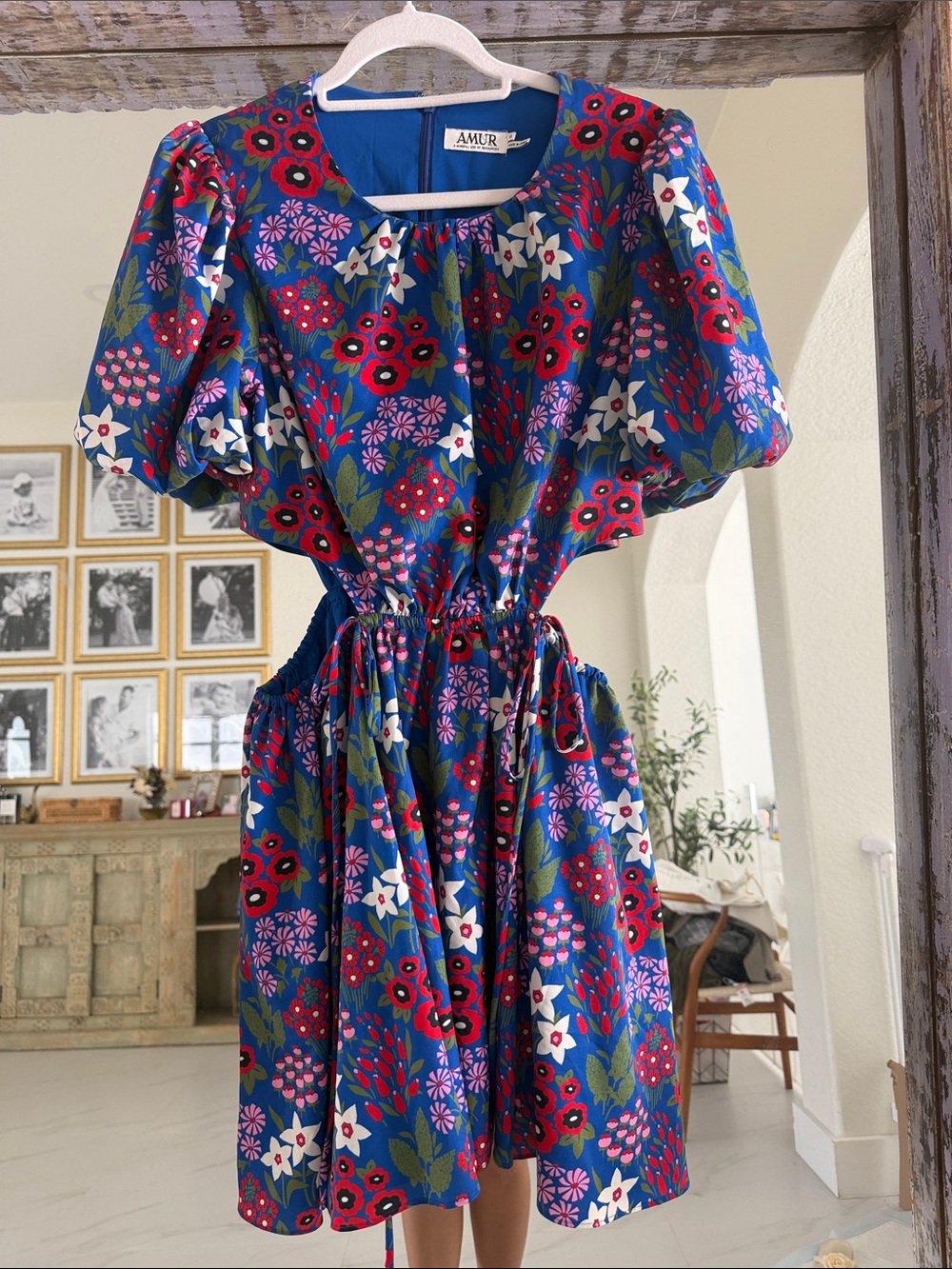 AMUR Blue Floral Puff-Sleeve Mini Dress with Red & White Blooms